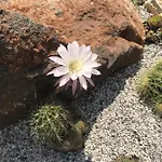 公寓 Beauty 波尔托罗