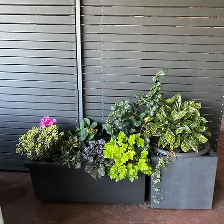 Beauty Apartment Portoroz
