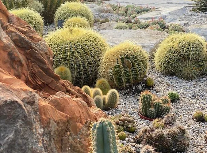 Beauty * 波尔托罗