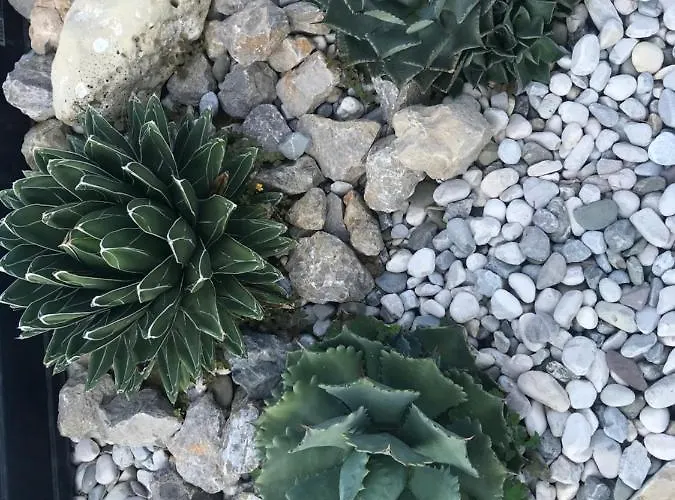 Beauty * 波尔托罗