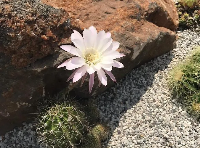 公寓 Beauty 波尔托罗