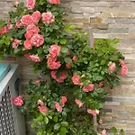 Lägenhet Beauty Portorož