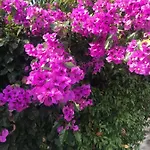 Beauty Порторож