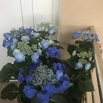 Beauty Порторож