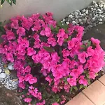 Beauty Порторож