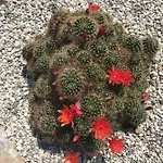 Beauty Lägenhet Portorož