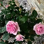 Beauty Апартаменты *