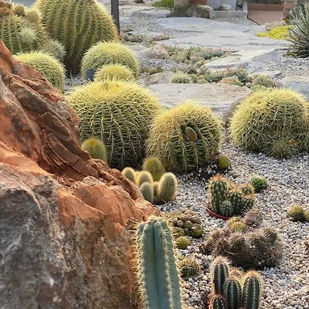 Beauty * 포르토로즈