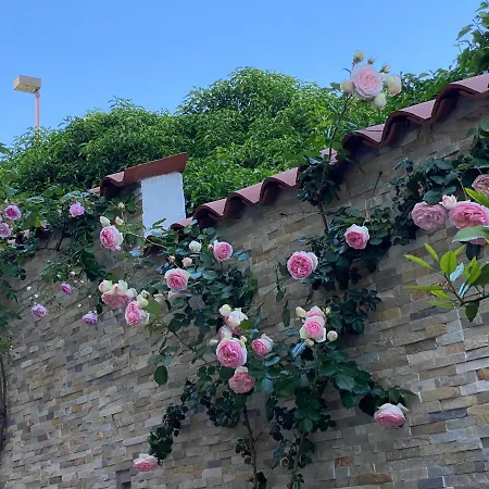 Beauty Apartmán