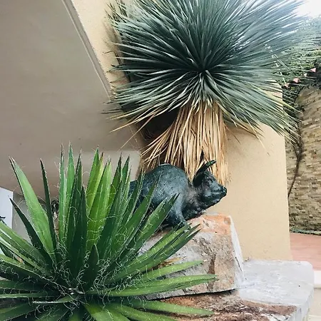 Apartmán Beauty