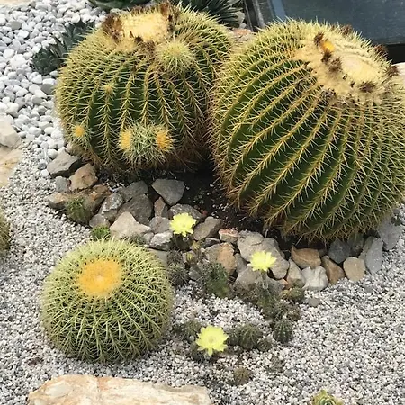 아파트 Beauty 포르토로즈