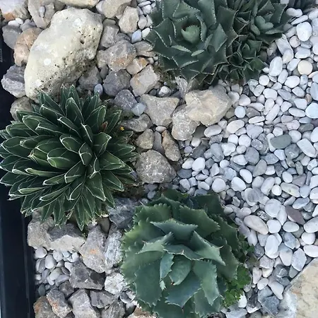 Beauty * 포르토로즈