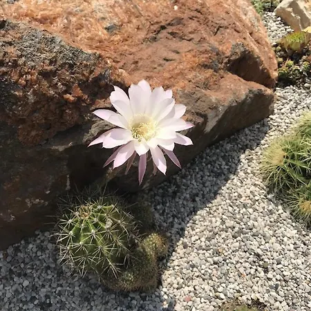 아파트 Beauty 포르토로즈