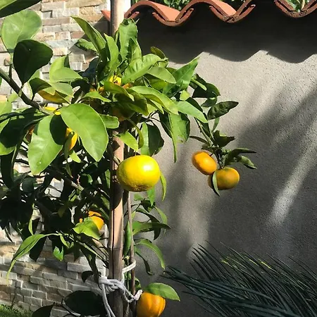 Beauty 포르토로즈