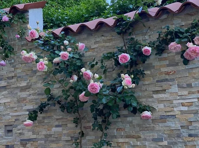 Beauty Διαμέρισμα