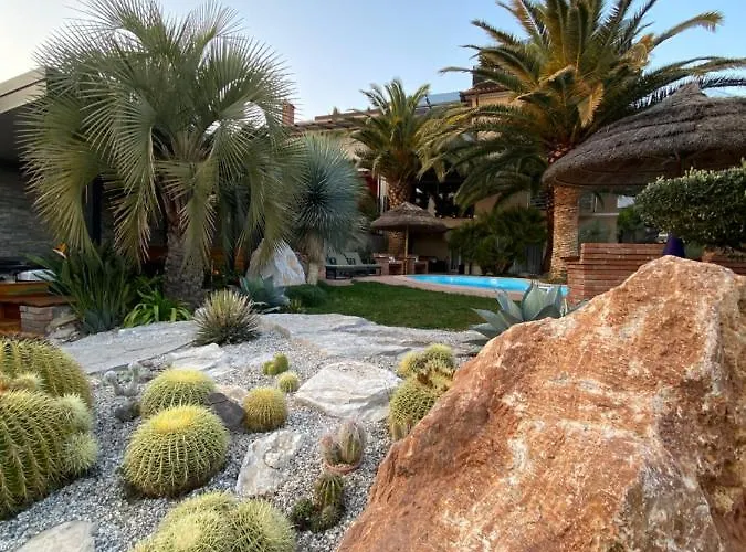 Beauty Πορτορόζ