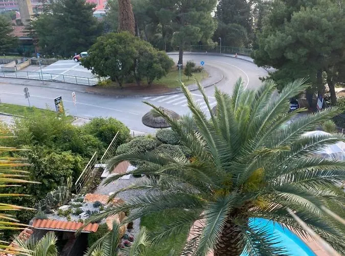 Beauty * Πορτορόζ