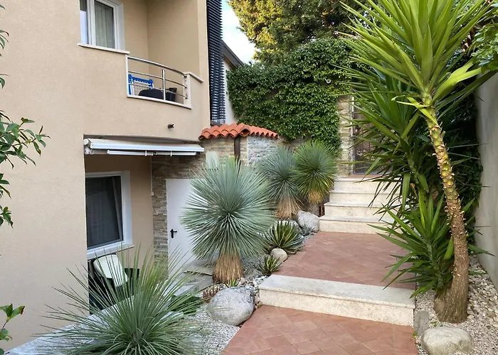 Beauty Πορτορόζ