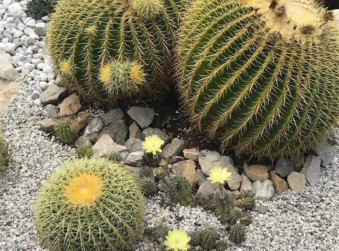 Διαμέρισμα Beauty Πορτορόζ