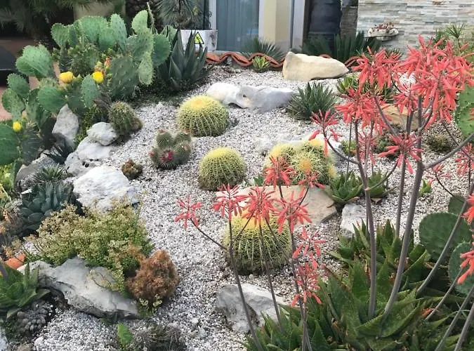 Beauty * Πορτορόζ